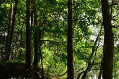 Nr.-256-Wandern-rund-um-Tirschenreuth