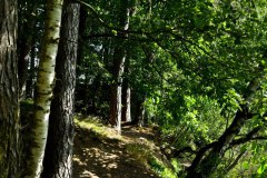 Nr.-257-Wandern-rund-um-Tirschenreuth
