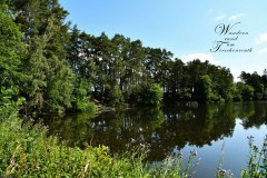 Nr.-259-Wandern-rund-um-Tirschenreuth