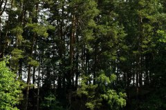Nr.-260-Wandern-rund-um-Tirschenreuth