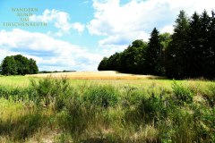 Nr.-268-Wandern-rund-um-Tirschenreuth