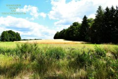 Nr.-268-Wandern-rund-um-Tirschenreuth