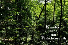 Nr.-276-Wanderung-um-den-Seeteich