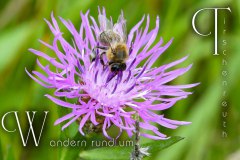Nr.-315-Wandern-rund-um-Tirschenreuth