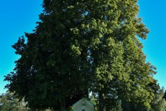 Nr.-316-Mieskapelle-nahe-Tirschenreuth