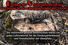 Nr.-53-Rodung-des-Vogelschutzstreifens-in-Bernau-Oberpfalz