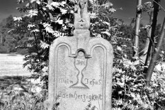Nr.-56-Altes-Feldkreuz-auf-Moorwiese-Tirschenreuth