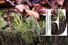 Nr.-58-Naherholungsgebiet-Engelmannsholz