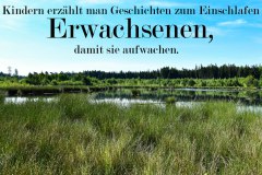 Nr.-73-Das-neue-Moor