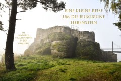 Nr.-971-Burgruine-Liebenstein