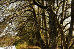 Wandern-am-Sauerteich