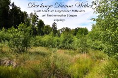 Nr.-1-Langer-Damm-Weiher
