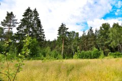 Nr.-12-Langer-Damm-Weiher