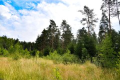 Nr.-13-Langer-Damm-Weiher