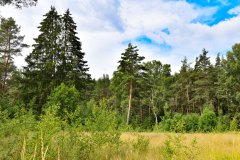 Nr.-16-Langer-Damm-Weiher