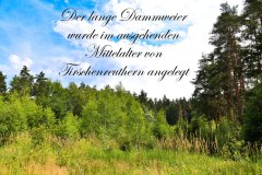 Nr.-18-Langer-Damm-Weiher-im-Mittelalter