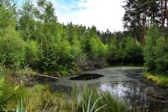 Nr.-23-Langer-Damm-kleiner-Teich