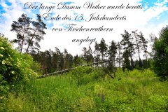 Nr.-68-Am-langen-Damm-Weiher-Tirschenreuth