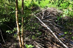 Nr.-94-Ablauf-das-neue-Moor