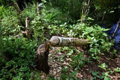 Nr.-98-Ablauf-das-neue-Moor