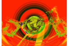 Universum