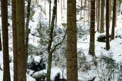 1_Nr.-297-Teufelskueche