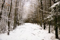 1_Nr.-300-Teufelskueche