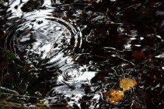 Nr.-115-Wasserspiegelung-Abend