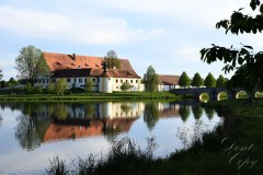 Nr.-117-Fischhofpark