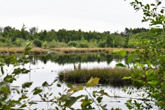 Nr.-169-Ansicht-Moor