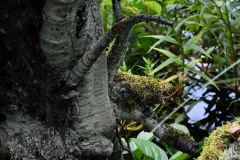 Nr.-233-Engelmannsteich