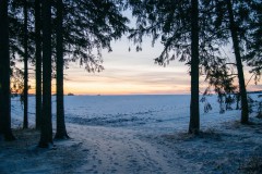 Nr.-283-Lengenfeld-Teufel