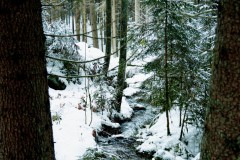 Nr.-294-Teufelskueche