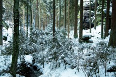 Nr.-296-Teufelskueche
