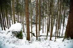 Nr.-298-Teufelskueche