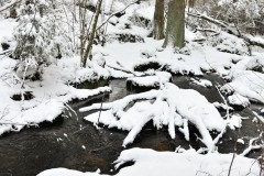 Nr.-302-Teufelskueche