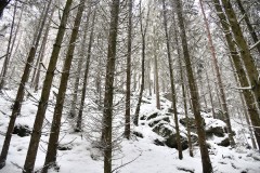 Nr.-304-Kleine-Teufelskueche