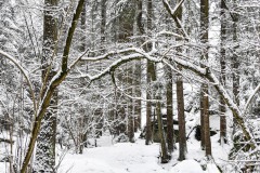Nr.-308-Kleine-Teufel