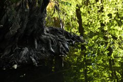 Nr.-323-Abendstimmung-in-Gumpen