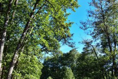 Nr.-328-Waldnaabaue-2022