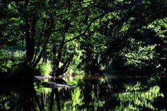 Nr.-329-Waldnaabaue-2022