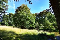 Nr.-332-Waldnaabaue-Gumpen-2022