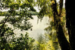 Nr.-36-Am-Ratzerteich-Bei-Lodermuehle-nahe-Tirschenreuth