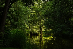 Nr.-48-Waldnaab-Aue-bei-Gumpen-in-der-Oberpfalz