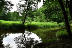 Nr.-49-Waldnaab-Aue-bei-Gumpen-in-der-Oberpfalz