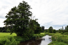Nr.-50-Waldnaab-Aue-bei-Gumpen-in-der-Oberpfalz