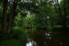 Nr.-51-Waldnaab-Aue-bei-Gumpen-in-der-Oberpfalz