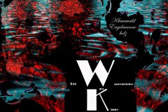 Nr.-3-Engelmannsholz-der-Wasserspeicher-der-Kinder