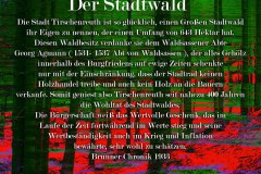 Nr.-959-Stadtwald-Tirschenreuth
