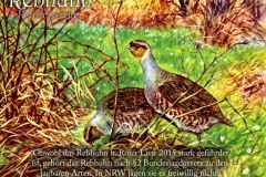 Rebhuhn